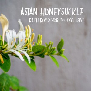 Asian Honeysuckle Fragrance Oil BBW